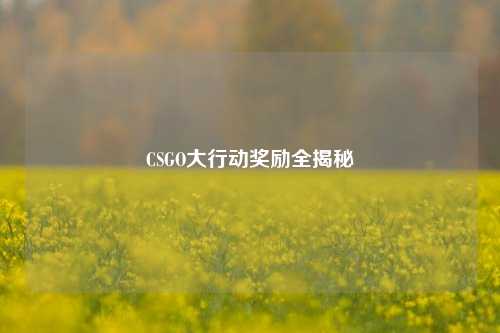 CSGO大行动奖励全揭秘