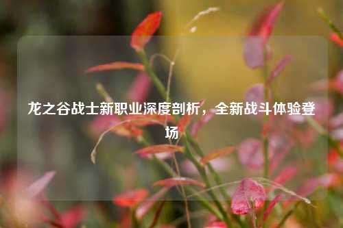 龙之谷战士新职业深度剖析，全新战斗体验登场