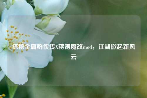 探秘金庸群侠传X蒋涛魔改mod,江湖掀起新风云