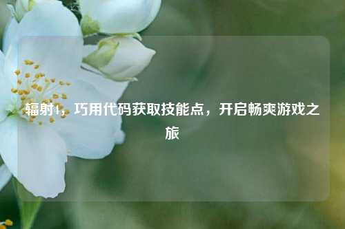 辐射4,巧用代码获取技能点,开启畅爽游戏之旅