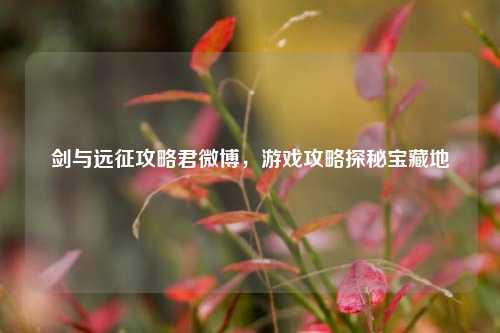 剑与远征攻略君微博，游戏攻略探秘宝藏地