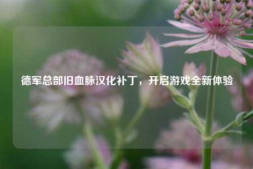 德军总部旧血脉汉化补丁，开启游戏全新体验