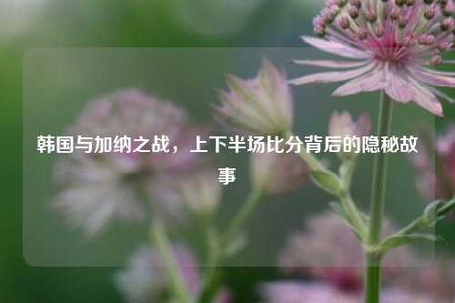 韩国与加纳之战，上下半场比分背后的隐秘故事