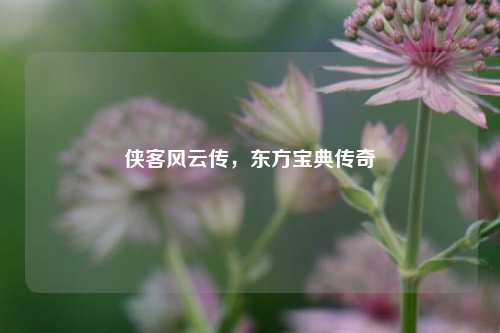 侠客风云传，东方宝典传奇