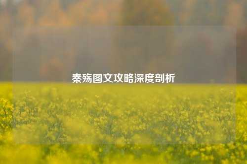 秦殇图文攻略深度剖析