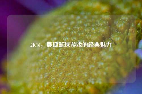 2K16，展现篮球游戏的经典魅力