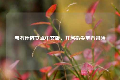 宝石迷阵安卓中文版，开启指尖宝石冒险