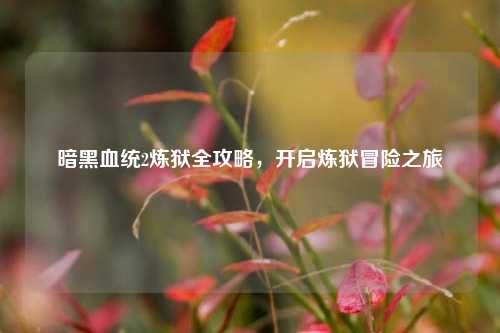 暗黑血统2炼狱全攻略，开启炼狱冒险之旅