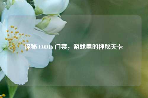 探秘 COD16 门禁,游戏里的神秘关卡
