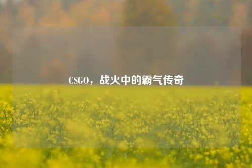 CSGO，战火中的霸气传奇