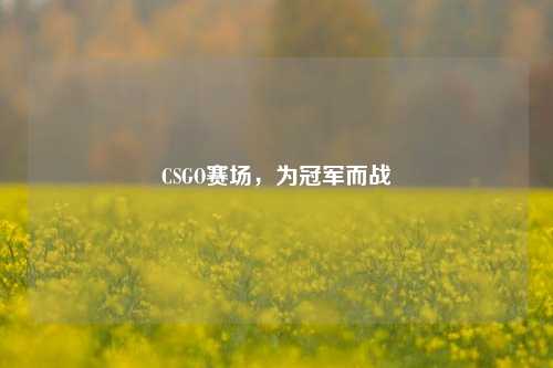 CSGO赛场,为冠军而战