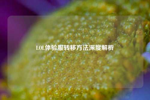 LOL体验服转移方法深度解析
