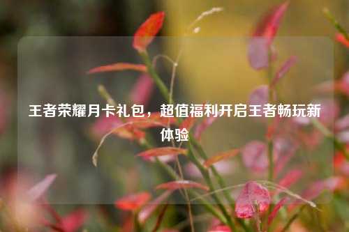 王者荣耀月卡礼包,超值福利开启王者畅玩新体验