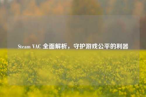 Steam VAC 全面解析，守护游戏公平的利器