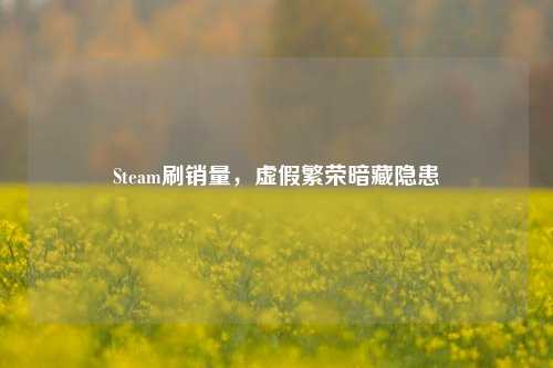 Steam刷销量,虚假繁荣暗藏隐患