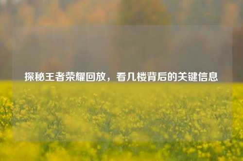 探秘王者荣耀回放,看几楼背后的关键信息