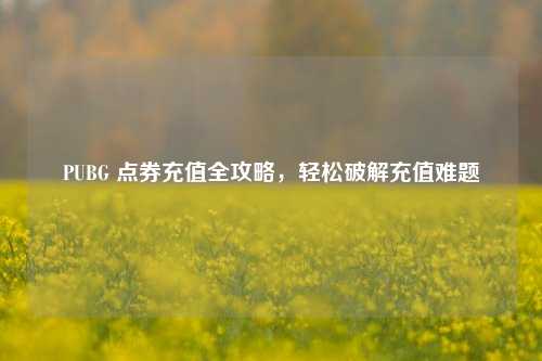 PUBG 点券充值全攻略，轻松破解充值难题