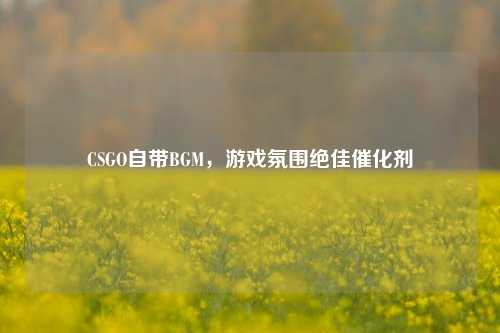 CSGO自带BGM,游戏氛围绝佳催化剂
