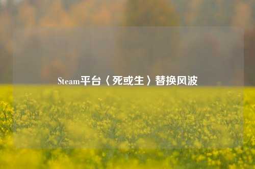 Steam平台〈死或生〉替换风波