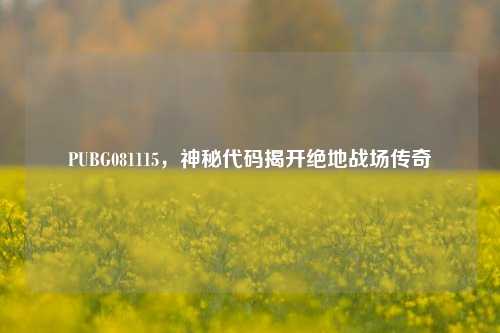 PUBG081115，神秘代码揭开绝地战场传奇