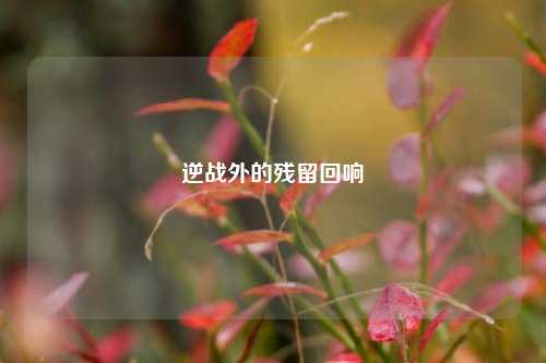 逆战外的残留回响