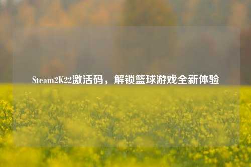 Steam2K22激活码，解锁篮球游戏全新体验