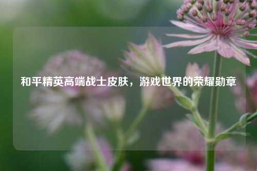 和平精英高端战士皮肤，游戏世界的荣耀勋章