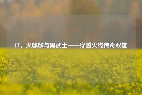 CF,火麒麟与黑武士——穿越火线传奇双雄