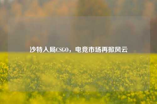 沙特入局CSGO，电竞市场再掀风云