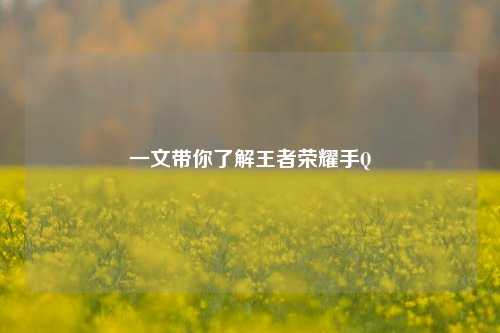 一文带你了解王者荣耀手Q