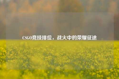 CSGO竞技排位，战火中的荣耀征途