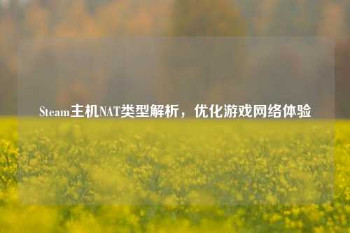 Steam主机NAT类型解析,优化游戏网络体验