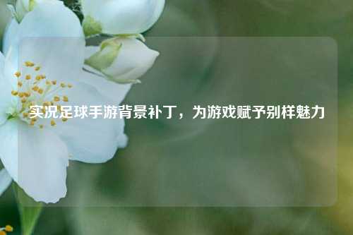 实况足球手游背景补丁，为游戏赋予别样魅力