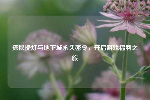 探秘提灯与地下城永久密令，开启游戏福利之旅