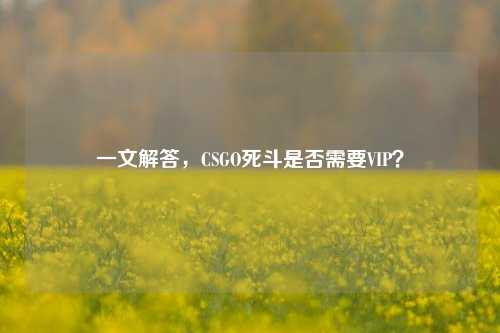一文解答，CSGO死斗是否需要VIP？