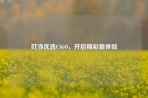 叮当优选CSGO，开启精彩新体验