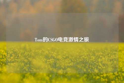 Tom的CSGO电竞激情之旅