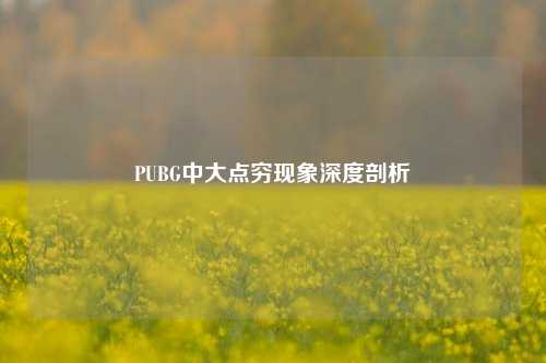 PUBG中大点穷现象深度剖析