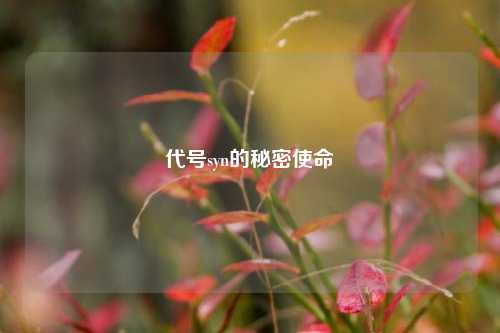 代号syn的秘密使命
