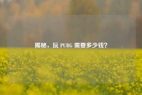 揭秘，玩 PUBG 需要多少钱？