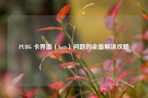 PUBG 卡界面（batt）问题的全面解决攻略