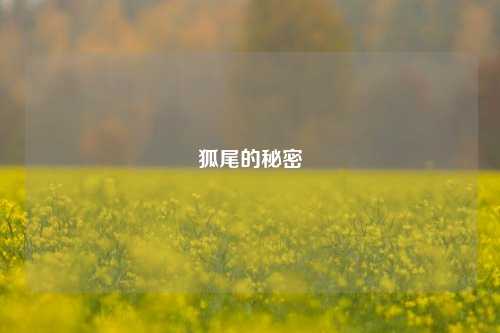 狐尾的秘密