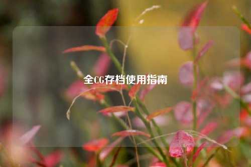 全CG存档使用指南