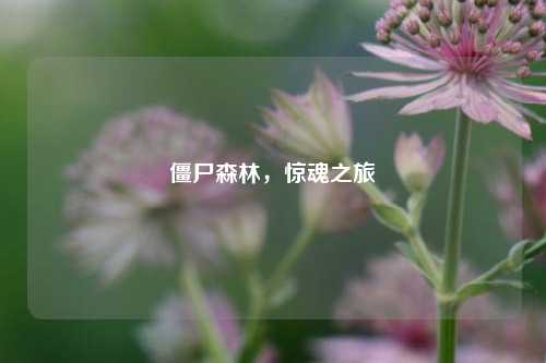 僵尸森林,惊魂之旅