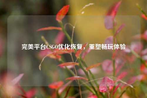 完美平台CSGO优化恢复，重塑畅玩体验