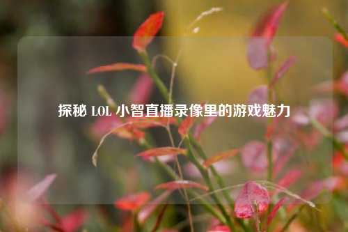 探秘 LOL 小智直播录像里的游戏魅力