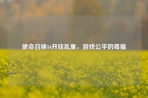 使命召唤16开挂乱象，游戏公平的毒瘤