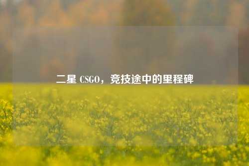 二星 CSGO，竞技途中的里程碑