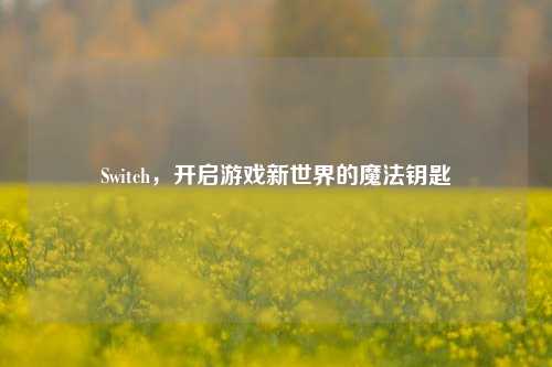 Switch,开启游戏新世界的魔法钥匙