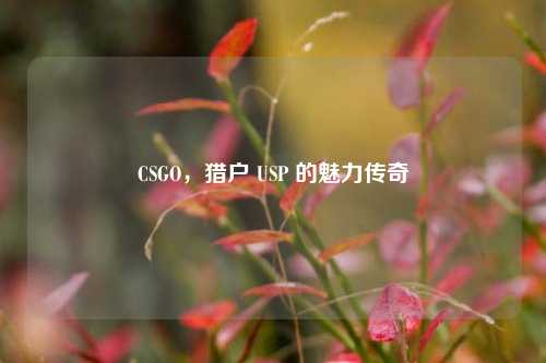 CSGO，猎户 USP 的魅力传奇
